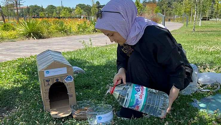 Ülkü Ocakları'ndan sokak hayvanlarına mama ve su desteği