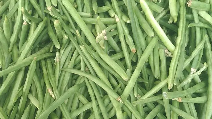 Ürettikleri ürünleri  hale satıyorlar