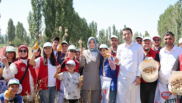 Vali Yiğitbaşı, Gençlerle Haşhaş Hasadına Katıldı