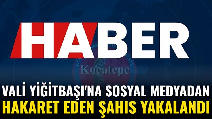 Vali Yiğitbaşı'na Sosyal Medyadan Hakaret Eden Şahıs Yakalandı