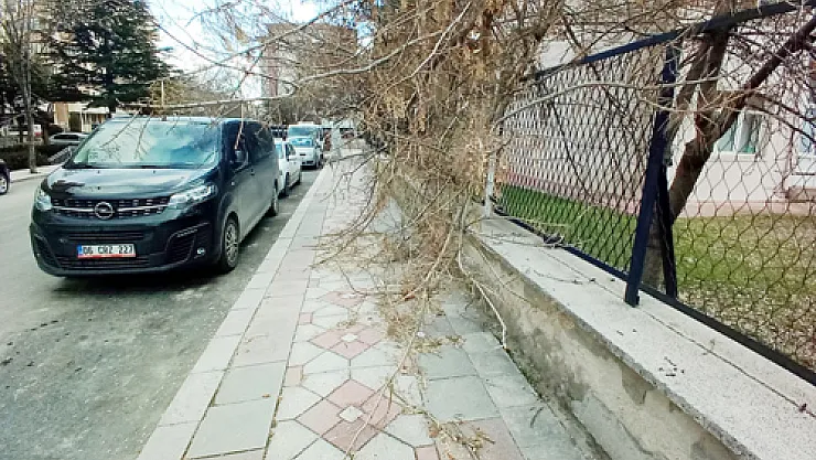 Vatandaş Diyor Ki KALDIRIMA SARKIYOR