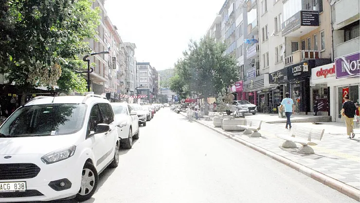 Vatandaş Diyor Ki Sevgi Yolu mu?