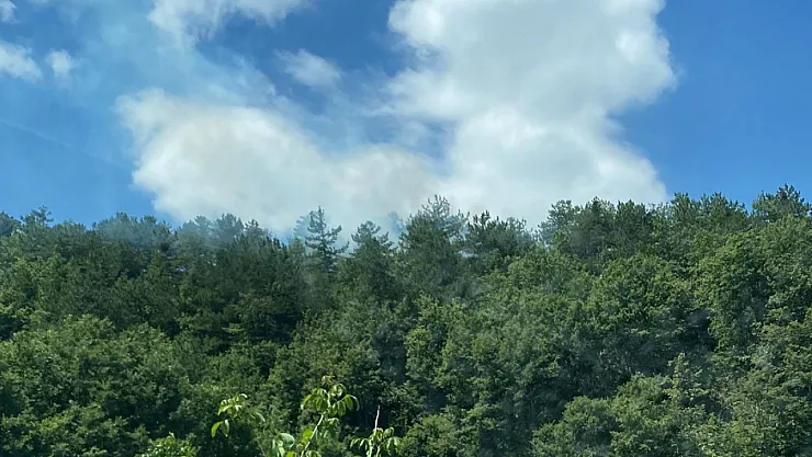 Yangın Bölgesinde Alevler Yeniden Yükseldi, Ekipler Harekete Geçti
