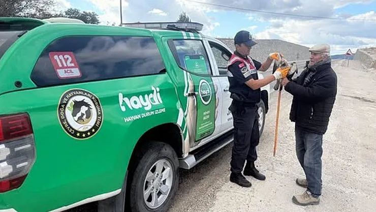 Yaralı Atmacaya Jandarma Sahip Çıktı