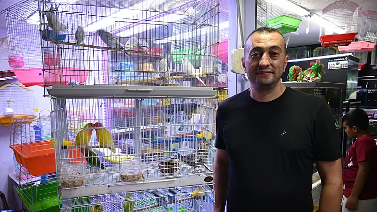 Yaz Sıcaklarında Evlerde Balık Ve Kuş Bakımı