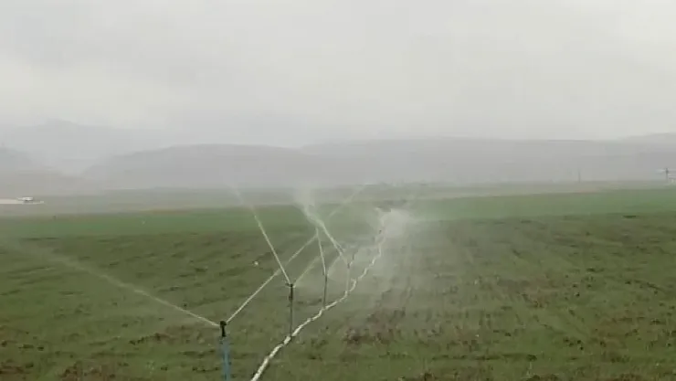 Yok Artık! Yağmurlu Havada Kaçak Elektrik Kullanarak Tarlasını Suladı!