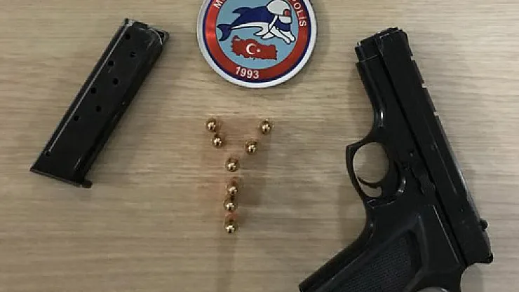 Yunuslar  göz açtırmıyor