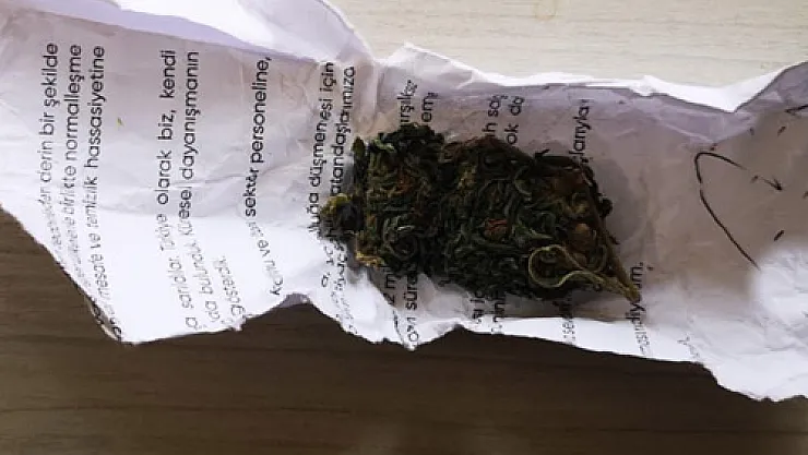 Yunuslar göz açtırmıyor