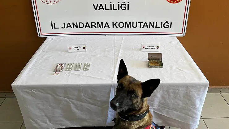 Zehir Tacirleri Yakalandı