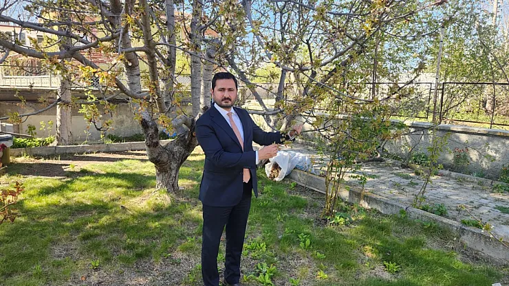 Zirai Don Bilançosu... Rekoltede Büyük Kayıp