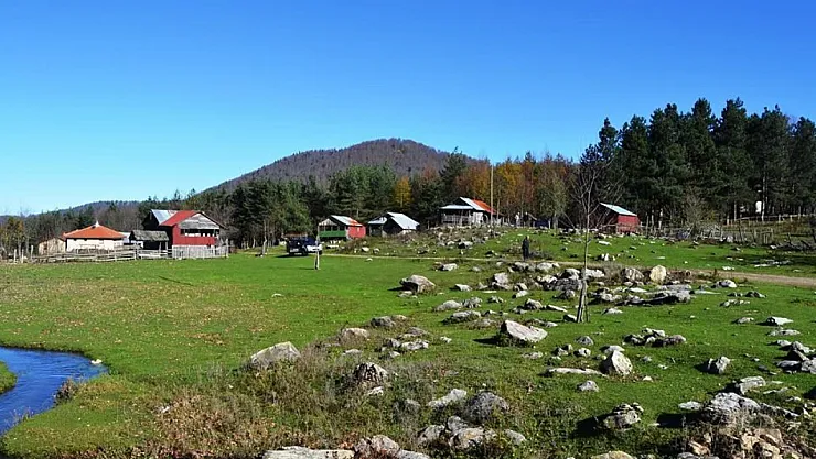 Zonguldak'ta Binlerce Yıllık Doğa Hazinesi
