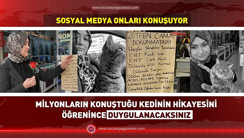 Afyon'un En Ünlü Kedisi Ortaya Çıktı! O Yazının Sırrı Çözüldü