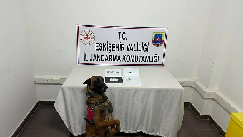 Eskişehir'de Uyuşturucu Taşıyan Şahıs Yakalandı