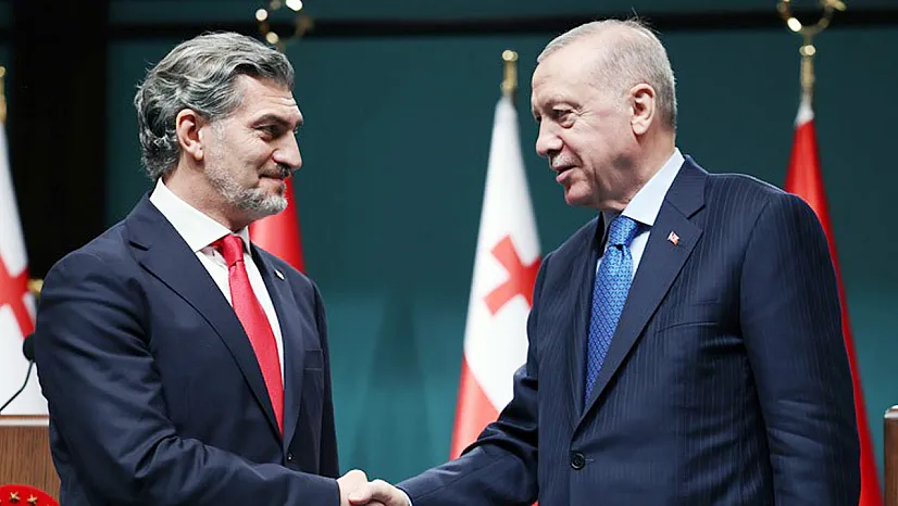 Gürcistan, AB Üyeliği İçin Türkiye'den Destek İstedi