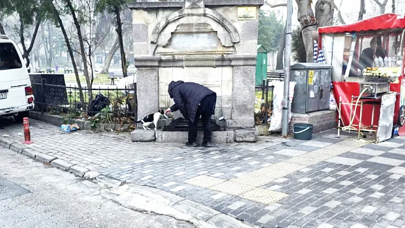 Hayvanları Sevelim Ama… Lütfen Biraz Daha Dikkat