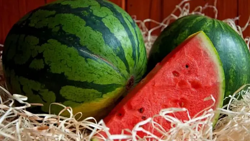 Kesmece Karpuz Nedir?