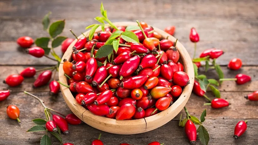 Kuşburnu, Adeta Bir Şifa Sandığı