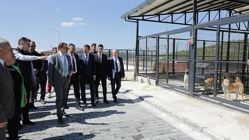 Kütahya Valisi Işın'dan Şaphane'de Yapımı Tamamlanan Hayvan Barınağında İnceleme