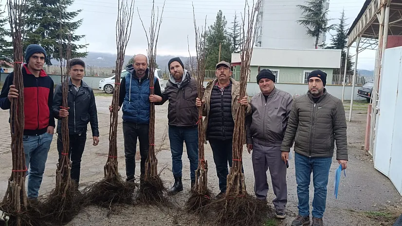 'Meyveciliği Geliştirme' Projesi Pazaryeri'nde Hayata Geçti