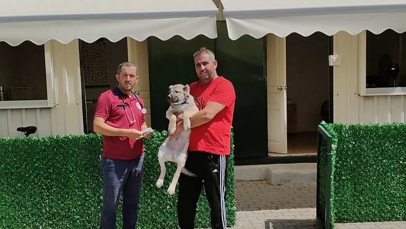 Patili Canlar Bu Merkezde Kimliklediriliyor