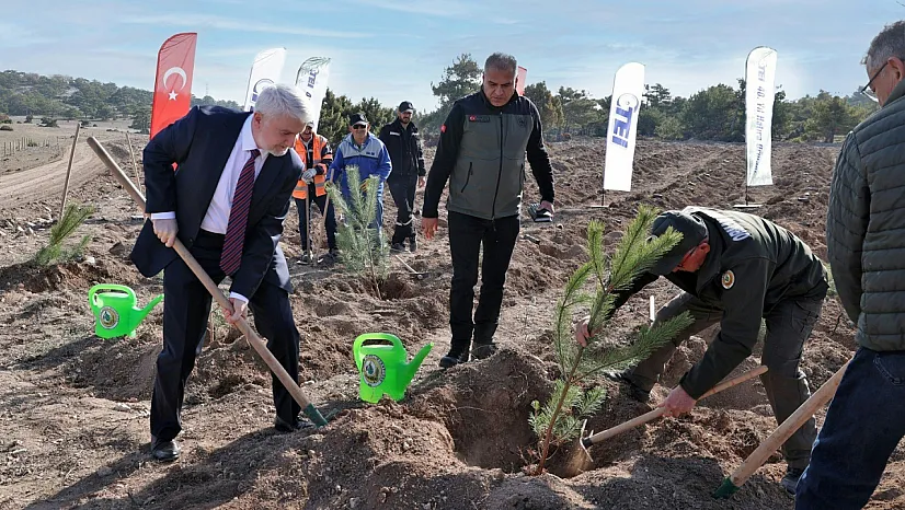 TEI'den 17 Bin Fidanlık 40. Yıl Hatıra Ormanı