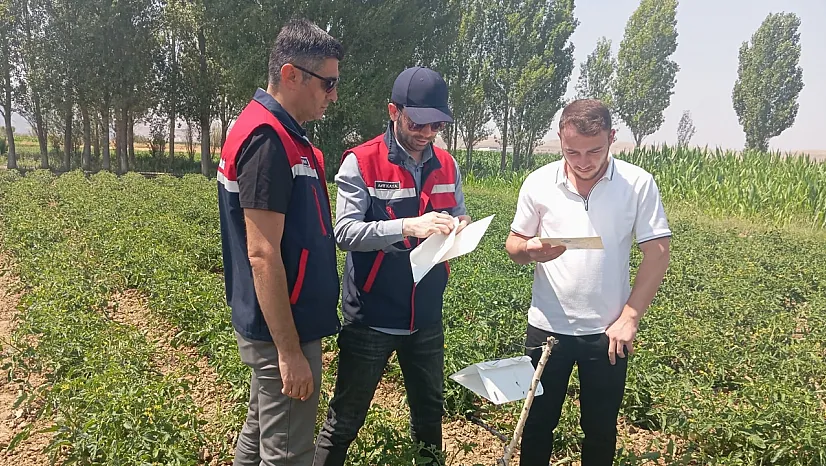 Teknik Ekipler Sahada Ürünleri Kontrol Ediyor