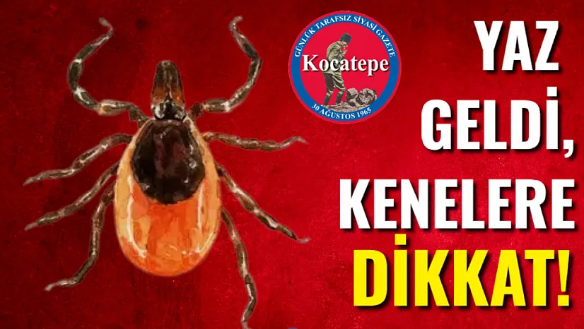 Yaz Geldi, Kenelere Dikkat!