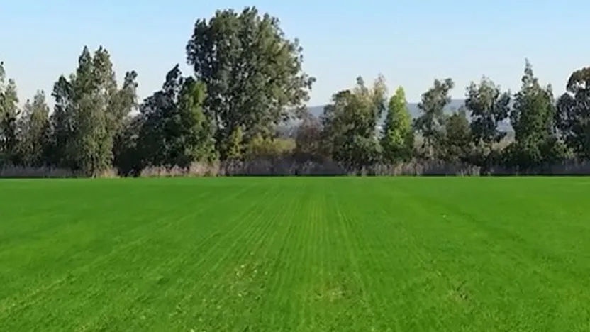 Afyon'a Tarım Üssü Kuruluyor!