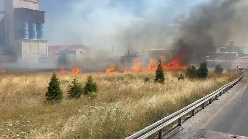 Afyon'da Anız Yangını Ulaşımı Aksattı