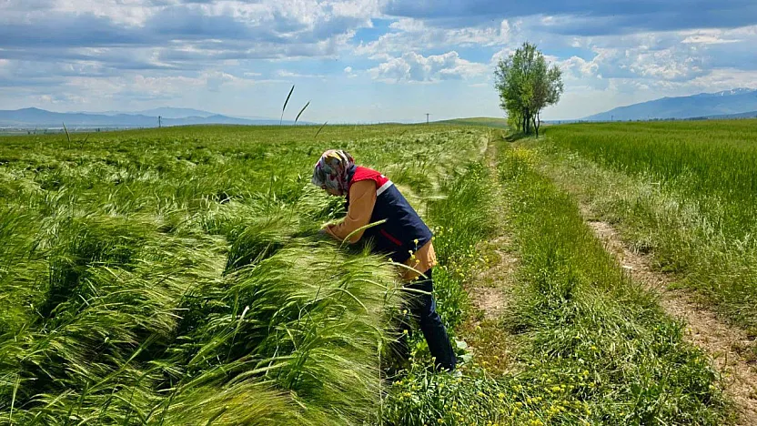 Afyon'da Çiftçinin Gözü Bu Çalışmalarda