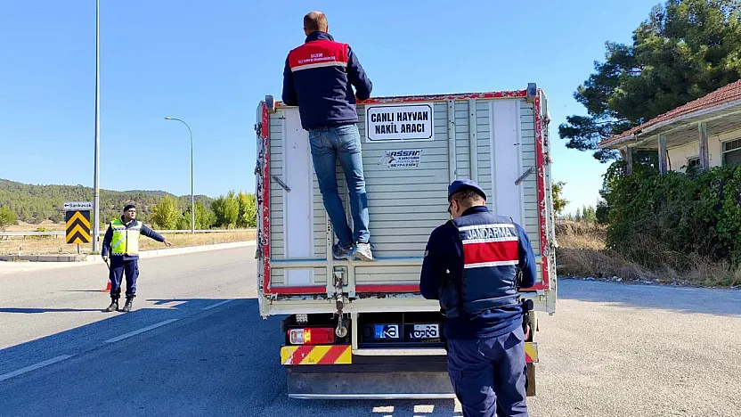 Afyon'da Hayvan Taşıyan Araçlar Tek Tek Durduruluyor!