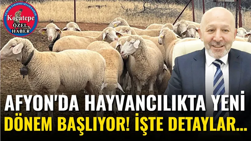 Afyon'da Hayvancılıkta Yeni Dönem Başlıyor! İşte Detaylar…