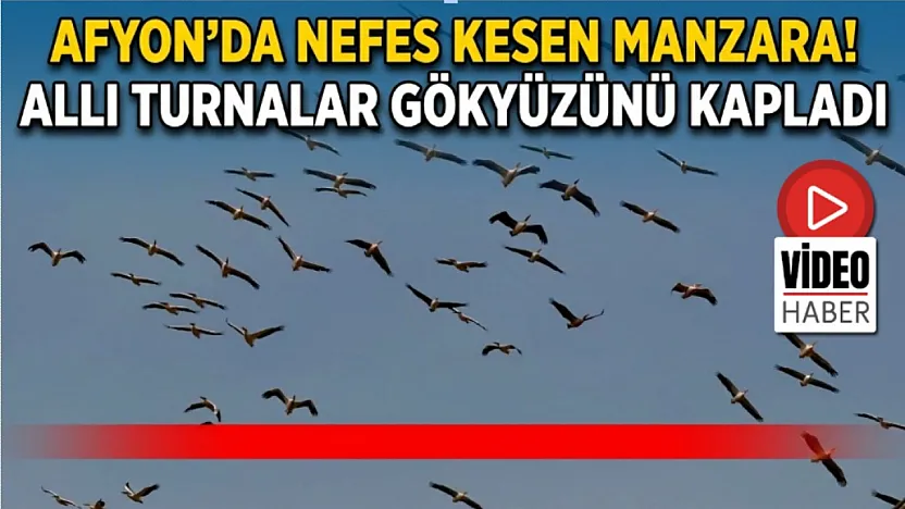 Afyon'da Nefes Kesen Manzara! Allı Turnalar Gökyüzünü Kapladı