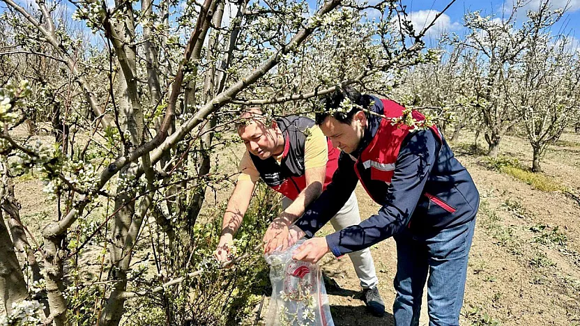 Afyon'da Numuneler İncelemeye Alındı