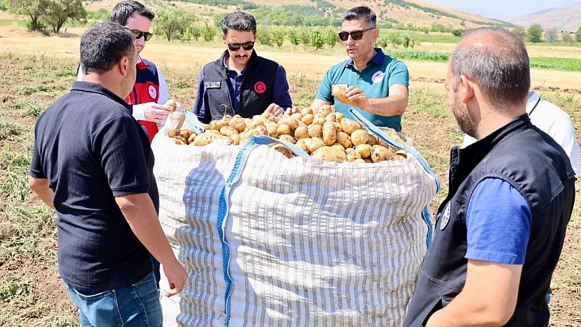 Afyon'da Patates Hasadı Sürüyor! Şuhut'ta Tarlalar Tek Tek İncelendi