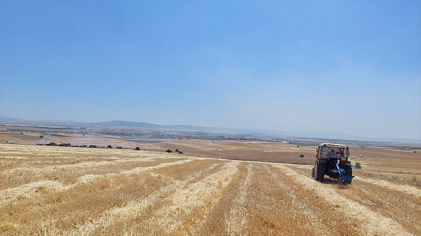 Afyon'da Tarım Arazisindeki Yangını Çiftçiler Önledi