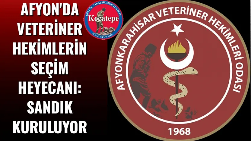 Afyon'da Veteriner Hekimlerin Seçim Heyecanı: Sandık Kuruluyor