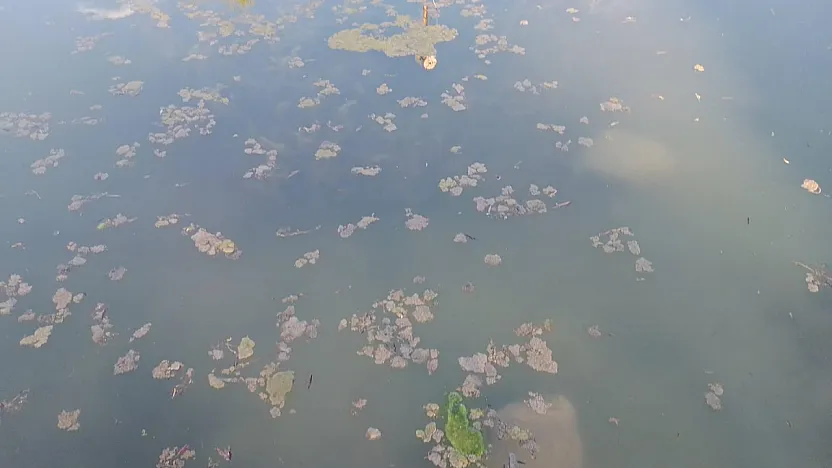 Afyon'da Yaz Gelmeden Kriz Patladı!