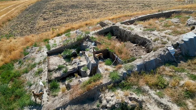 Afyon'daki Tarihi Kazı Alanı Köpeklerin Meskeni Oldu