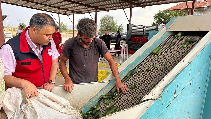 Afyon'dan Polonya'ya Kornişon Salatalık İhraç Edildi