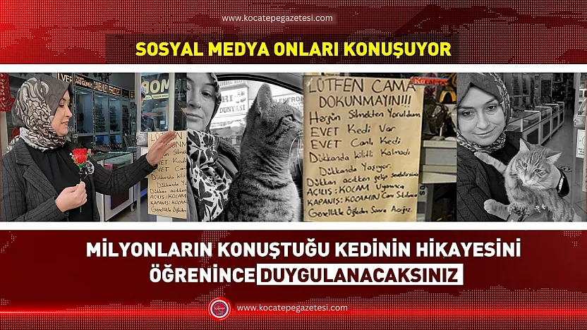 Afyon'un En Ünlü Kedisi Ortaya Çıktı! O Yazının Sırrı Çözüldü
