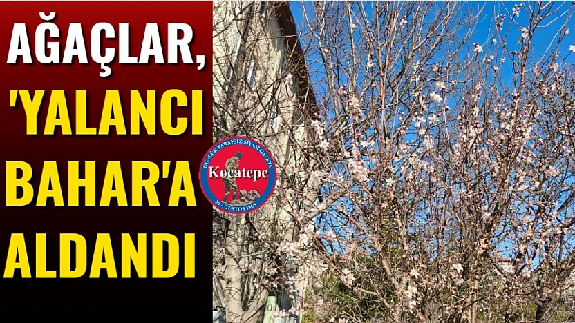 Ağaçlar, 'Yalancı Bahar'a Aldandı