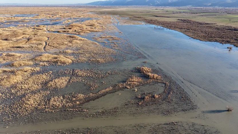 Akşehir Gölü'nde Yıllardır Görülmeyen Oldu