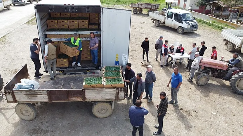 Binlerce Fide Afyonlu Üreticinin Elinde