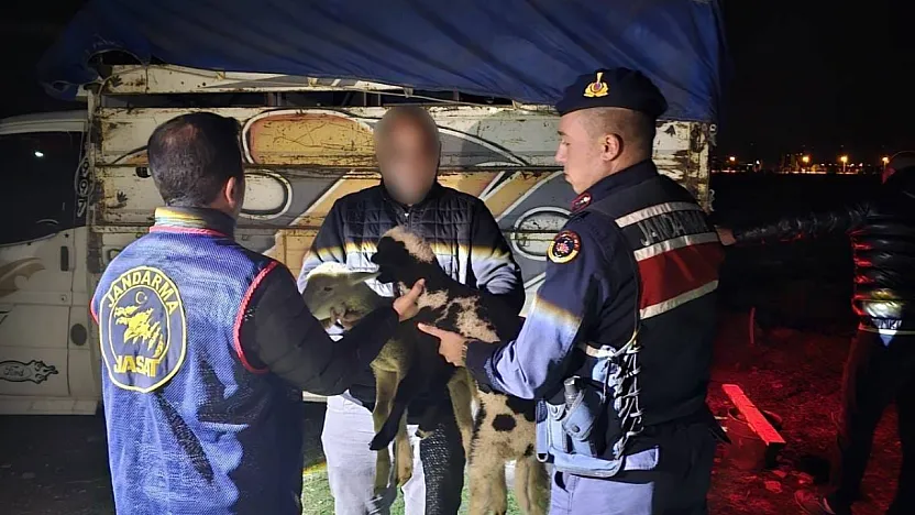 Çalınan Küçükbaş Hayvanları Jandarma Dedektifleri Buldu