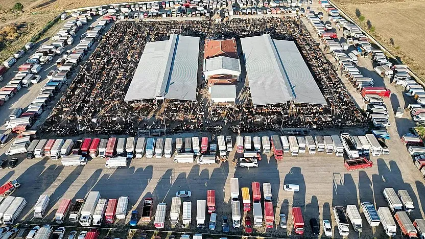 Çayırbağ Hayvan Pazarı Önlem Amaçlı Kapatıldı
