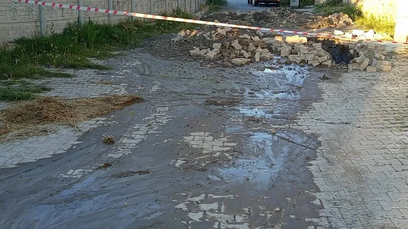 Çukura Düşen İnek Olayında Belediye'den Açıklama Var