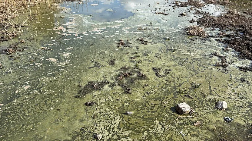 Eber Gölü Alarm Veriyor: Kuraklık Yetmedi, Şimdi de Kirlilik Tehlikesi!