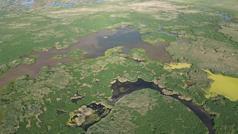 Eber Gölü Çevresinde Üreticinin Yüzü Gülüyor