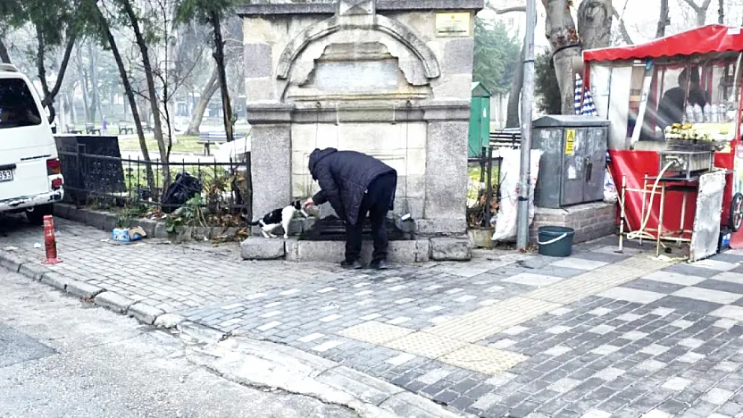 Hayvanları Sevelim Ama… Lütfen Biraz Daha Dikkat